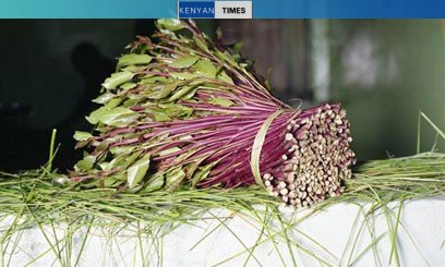 Kenya cleared to export miraa to Djibouti