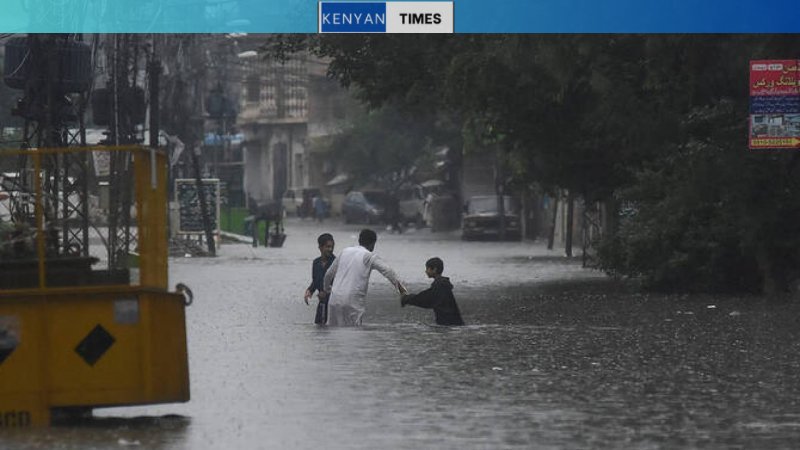 Monsoon rains in Pakistan claim 291 lives, leave 698 injured