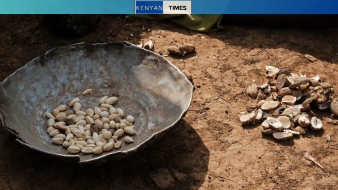 Over a dozen children die from food shortages in Sudan camp, say medics