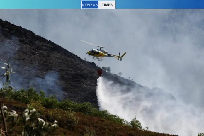 Portugal and Spain gain ground as major forest fires show signs of containment