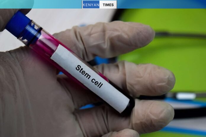 Calls for public to register as blood stem cell donors- Africa DKMS