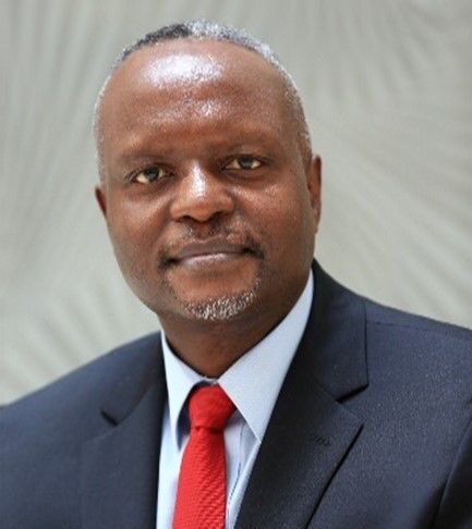 Unlocking Africa's Potential: The Promise of Blended Finance