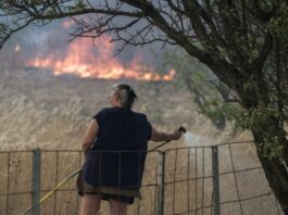 France wildfires kill 1, injure 11 as 1,500 firefighters battle raging blaze