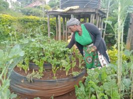 Kenya Leads Africa in Regenerative Farming, AGRA Report Finds
