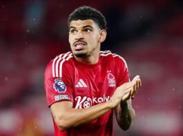 Pre season reports, results, goals from Forest, Leeds, Brighton, Sunderland, Burnley, Brentford and Bayern friendlies