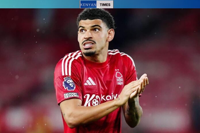 Pre season reports, results, goals from Forest, Leeds, Brighton, Sunderland, Burnley, Brentford and Bayern friendlies